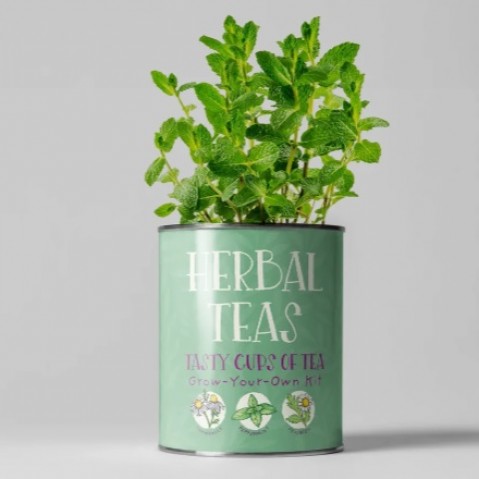 Herbal Tea Tin - Grow your own tea kit